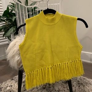 Hanifa Sleeveless Mock Neck Turtleneck Fringe Knit Sweater